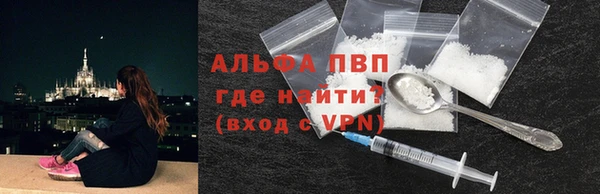 хмурый Арсеньев