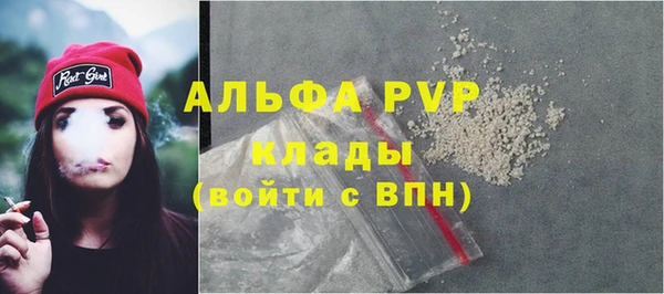 хмурый Арсеньев