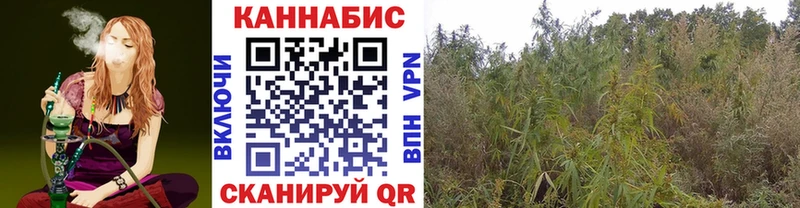 Шишки марихуана индика  Купить где  Яровое 